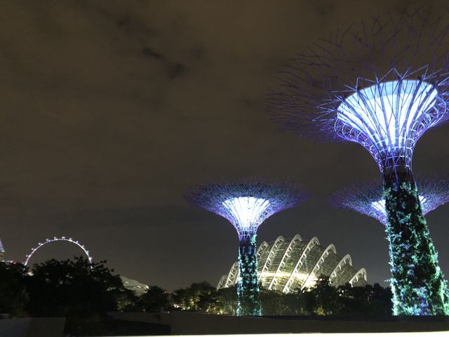 Gardens by the bay  