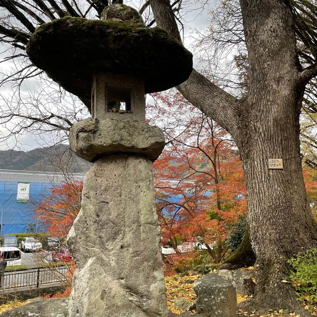 【兵庫県】鳥居と紅葉が美しい秋の有子山稲荷神社へ！