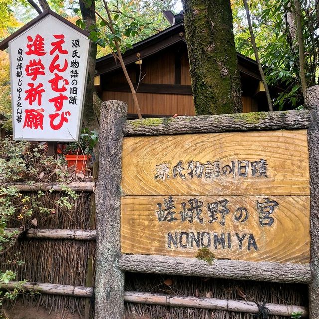 良縁・子宝・学問【野宮神社⛩️】✨