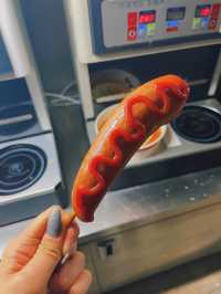 한강에서 즐기는 야외 피크닉 🧺