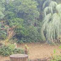 Step into the land of ecological areas