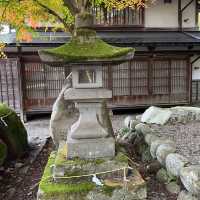 白川八幡神社 及 明善寺🍁🍁