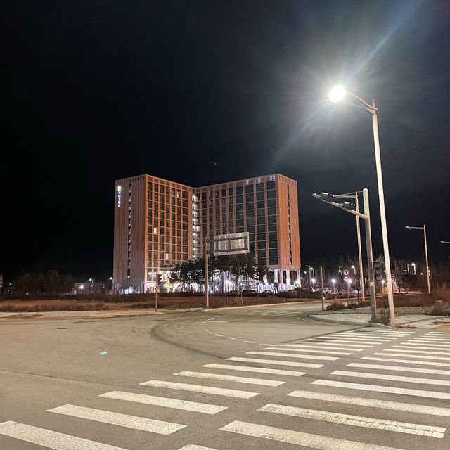 비행기 타기전엔 무조건 이비스