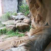 親子遊【新竹市區】新竹市立動物園