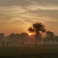 shuyabad
