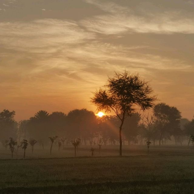 shuyabad