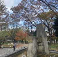 下園公園看紅葉