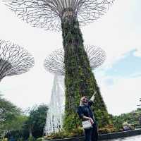 Singapore is one of the best 🇸🇬 