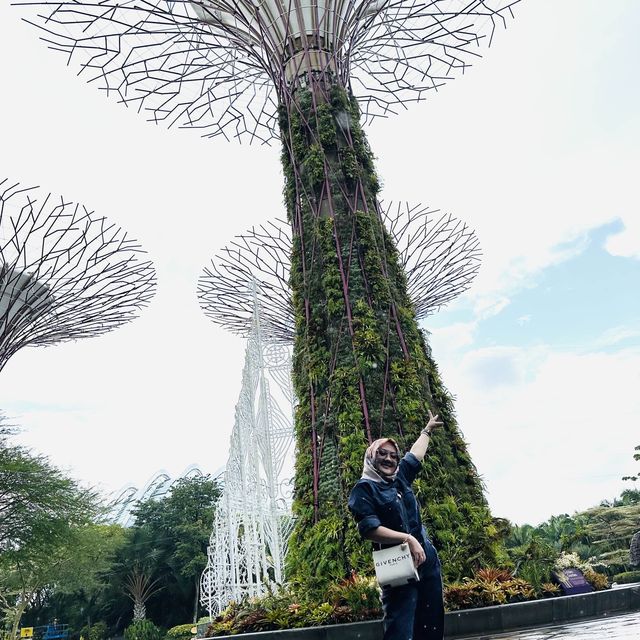 Singapore is one of the best 🇸🇬 