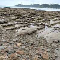 宮崎観光地　青島