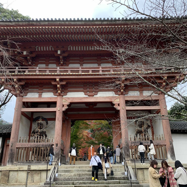 京都紅葉2022  醍醐寺の紅葉に感動