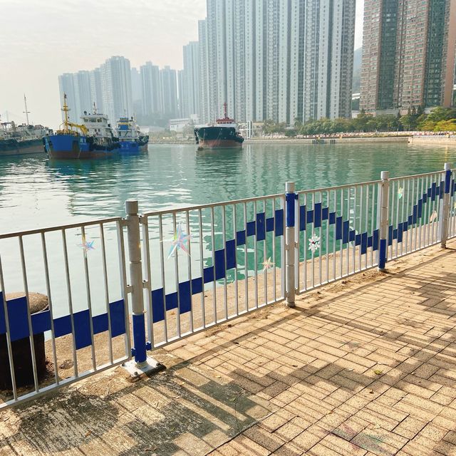 【踢躂海濱小企鵝🐧】📍荃灣西