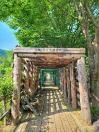 과거로의 시간여행, 태백 철암탄광역사촌🪨