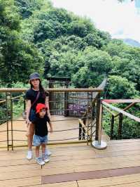 桃園景點-小烏來天空步道&瀑布