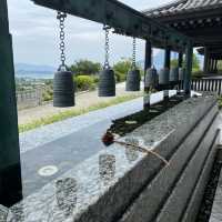 大埔慈山寺 — 身心靈靜之旅