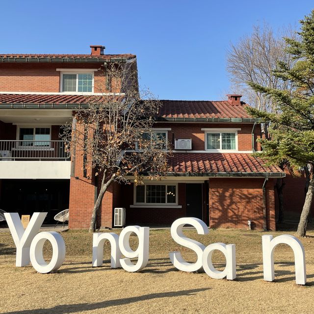 겨울에도 용산공원에서 인생샷을 건질 수 있다구!