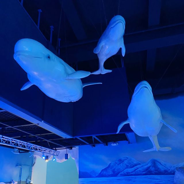 北極之旅