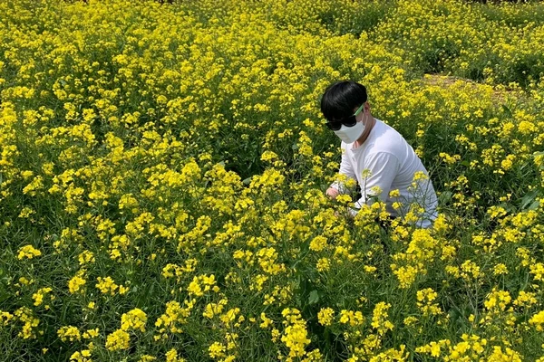 유체꽃은 역시나 제주 | 트립닷컴 제주도 트래블로그