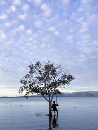 Magical Looking Lake in Perlis