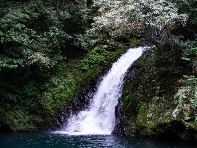 【鹿児島】海に山に！自然を体感できる奄美大島