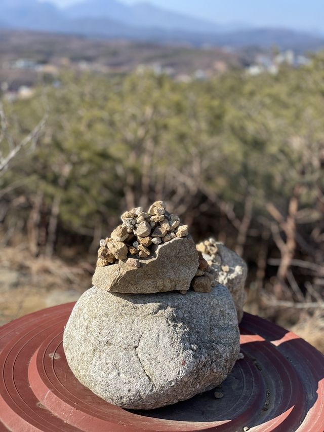 [낙산사] 소원을 말해봐🐈