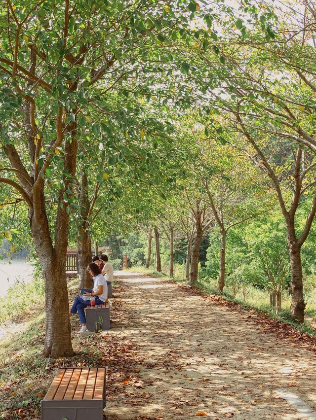 부산 봄맞이 여행명소 “금정 회동호 둘레길” 🌸