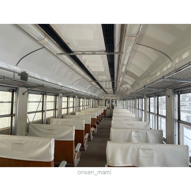 【長野電鉄🚃】特急ゆけむり のんびり号