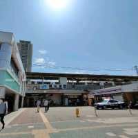 【兵庫県 明石市】季節の花咲く明石駅🌸🌸🌸
