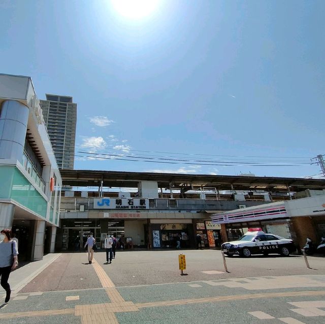 【兵庫県 明石市】季節の花咲く明石駅🌸🌸🌸