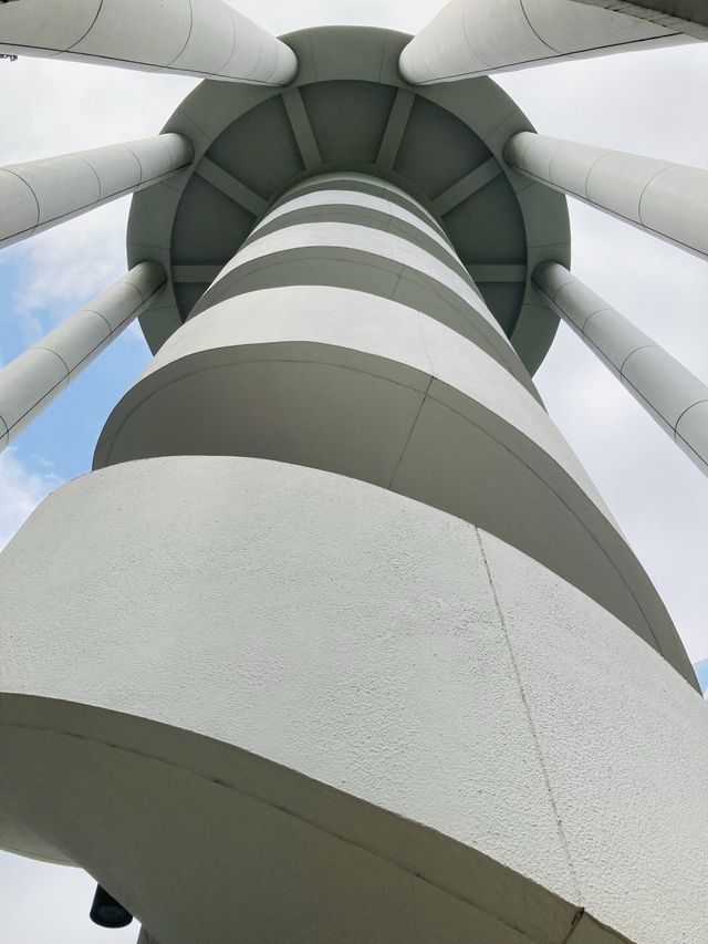 【市區散步好去處】香港公園｜欣賞小龜曬太陽。穿過大瀑布。登上鳥瞰角觀景台｜2小時散步路線
