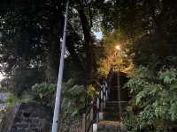 台北碧湖公園散步去｜捷運可以到～還可以順便登頂喔