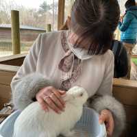 たくさんの動物と触れ合える！
