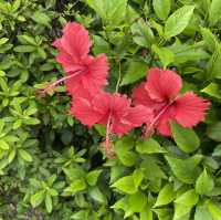 以航海為主題的公園