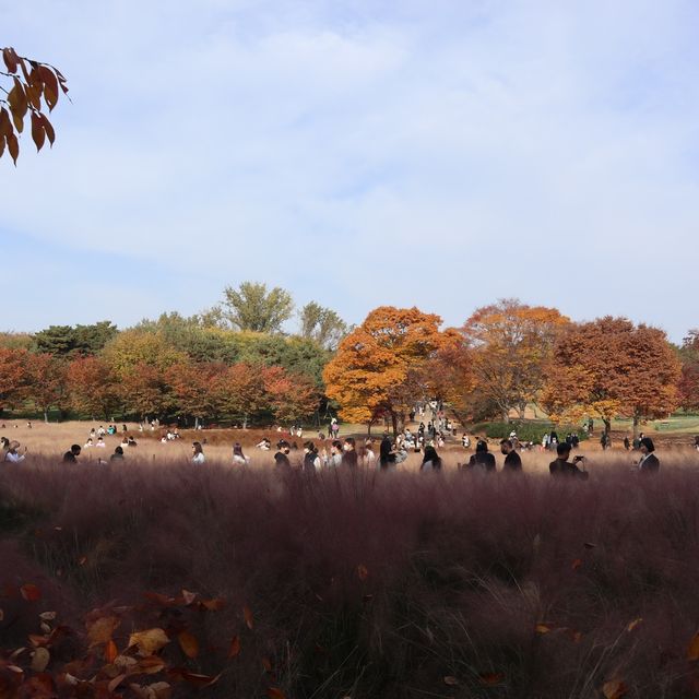 나홀로나무🌳 올림픽공원
