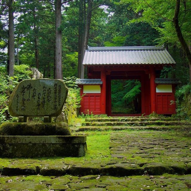 新緑が素晴らしい