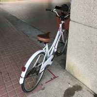 전기자전거 타고 치진섬 관광하기 🚲 해안도로 뷰
