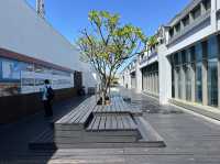 松機室外公園 很棒的放鬆曬太陽景點