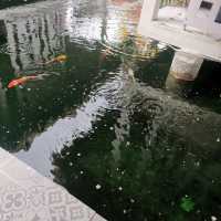 ร้านนั่งชิว  วิวทุ่งนา