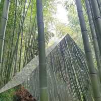 Juknokwon Bamboo Forest