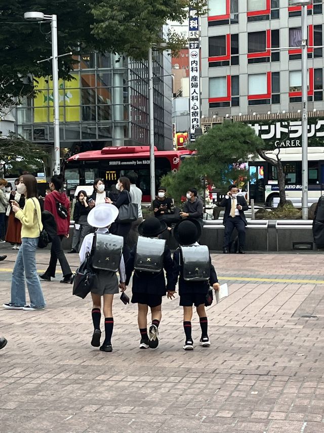 속보) 일본 무비자 입국 가능!!! 실시간 일본 도쿄 여행중✈️
