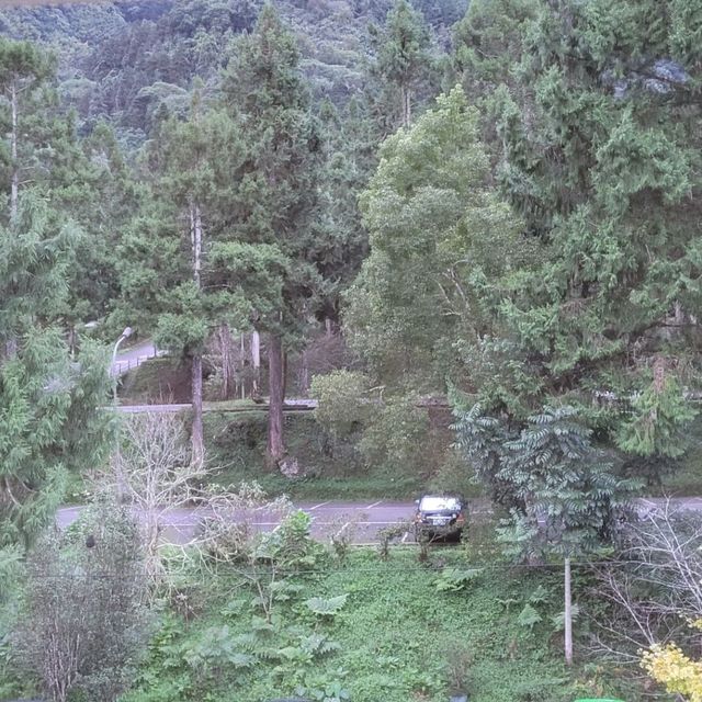 溪頭 
