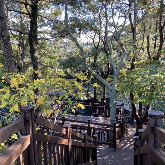제주도 여행 꼭 가봐야할 곳 쇠소깍