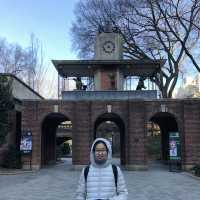 เที่ยว Central Park Zoo กัน