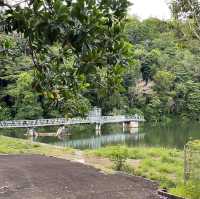 Exploring the Beautiful Nature in Brunei 