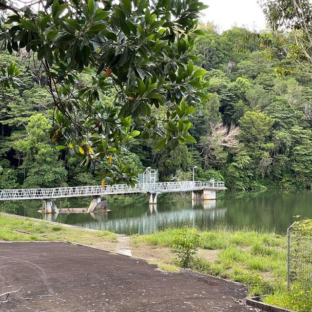 Exploring the Beautiful Nature in Brunei 