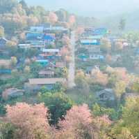 บ้านร่องกล้า​ ฟิลเหมือนหมู่บ้านญี่ปุ่น