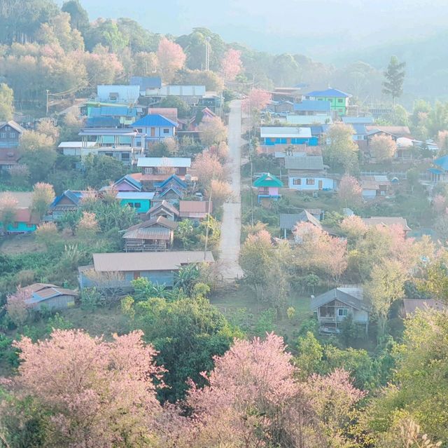 บ้านร่องกล้า​ ฟิลเหมือนหมู่บ้านญี่ปุ่น