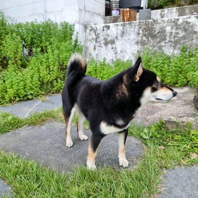 이곳이 바로 무릉도원인가요?⛰️✨️