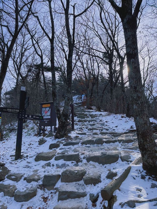 강원도 태백에서의 🥾 등산 어때요?