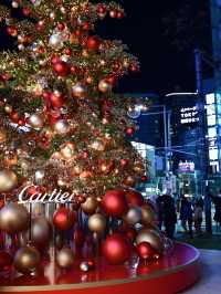 【表参道】クリスマスツリーが素敵！
